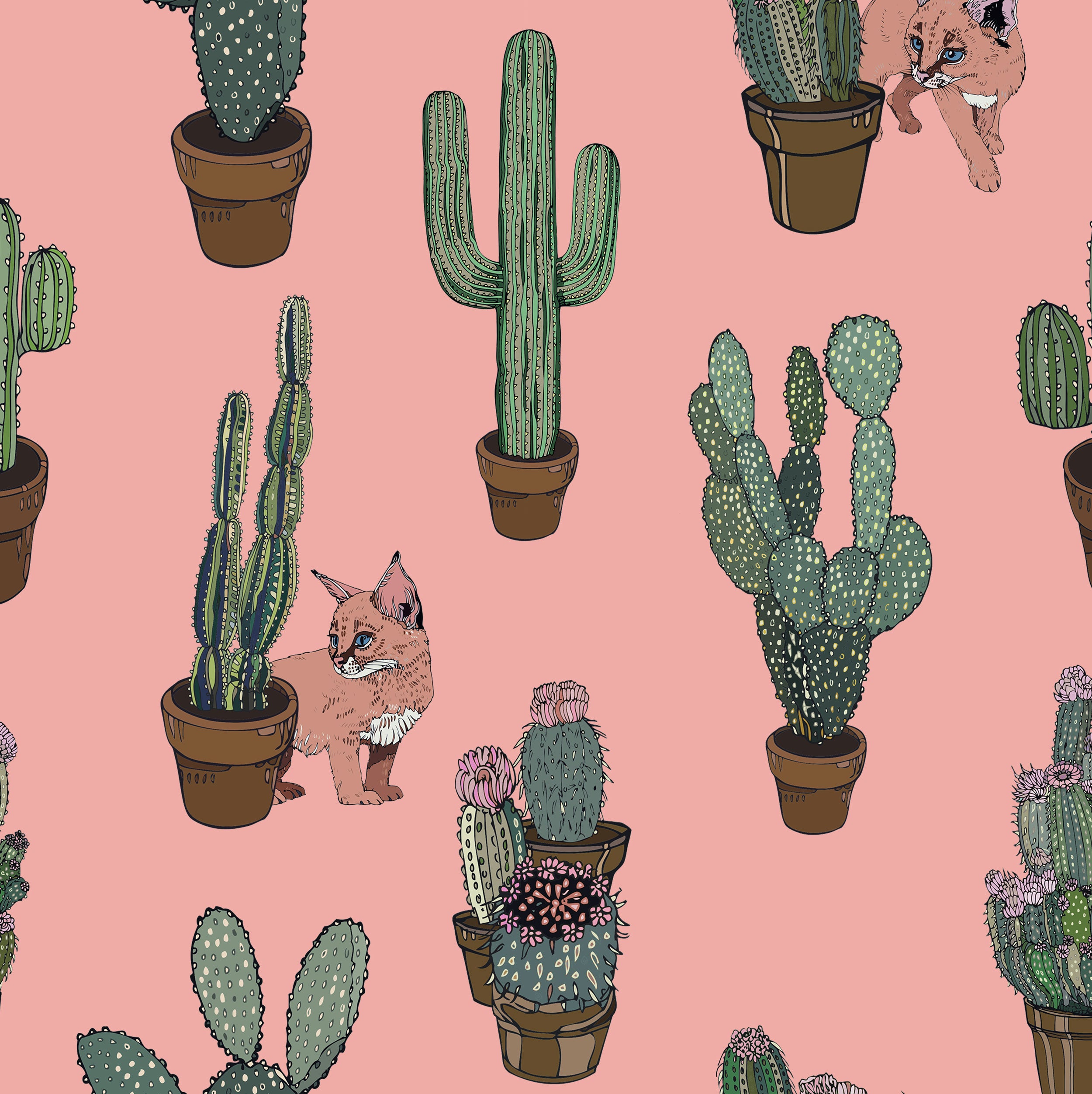 Cats and Cactus Wallpaper - Pre order – silkenfavours